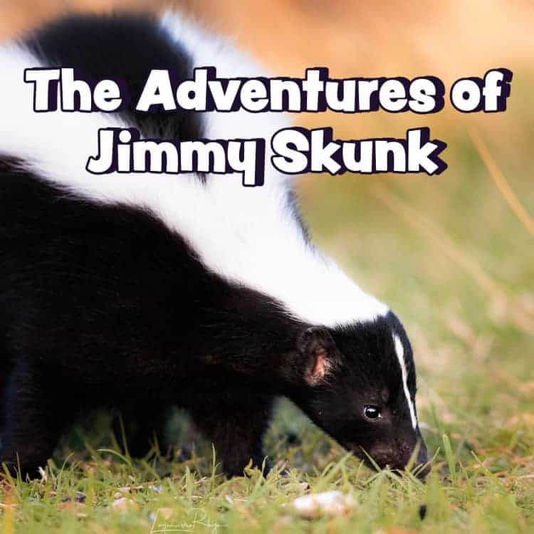 The Adventures of Jimmy Skunk Audiobook